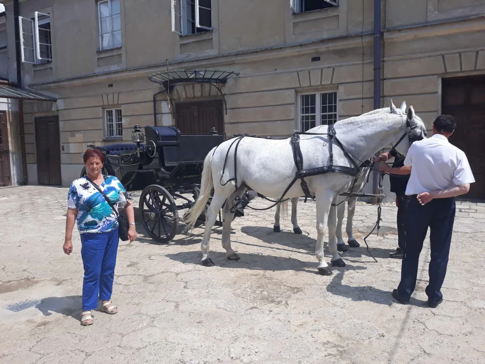 Teraz pora na Seniora Klub Seniora Gminy Łuków