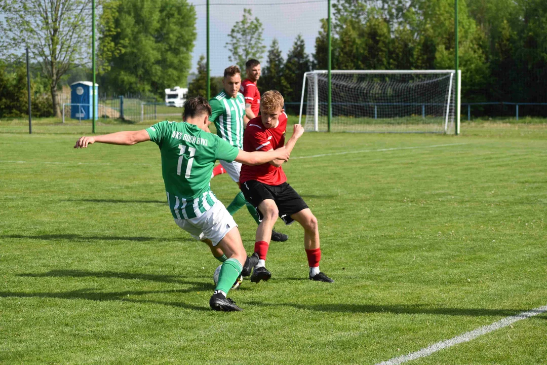 MKS Ryki - Cisy Nałęczów
