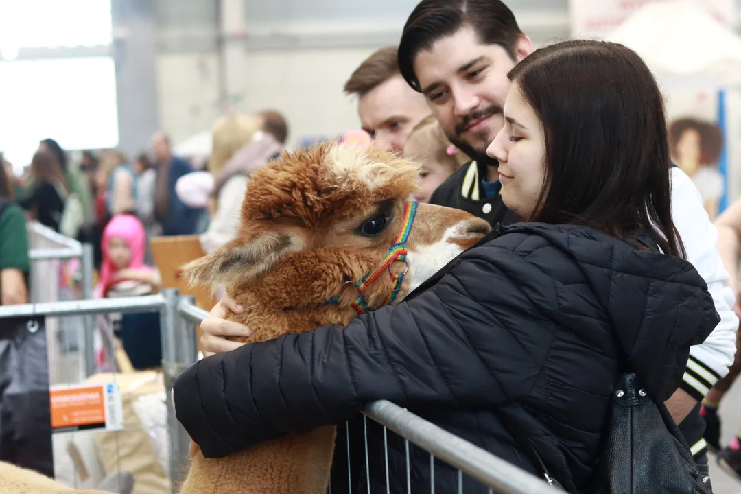 Hale przejęły zwierzęta. Zoopark w Targach Lublin [ZDJĘCIA] - Zdjęcie główne