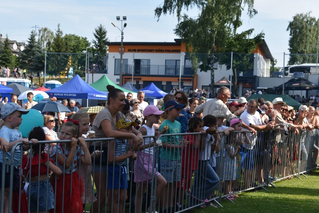 Truskawkobranie 2025 w Górze Puławskiej
