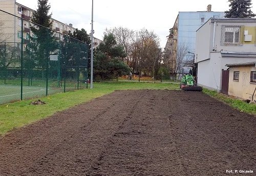 Łąka kwietna przy Szkole Podstawowej nr 4 w Łukowie