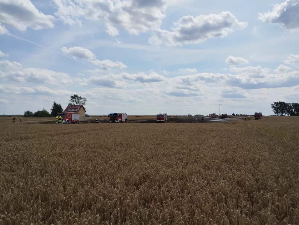 Pożar zboża w miejscowości Wojcieszków