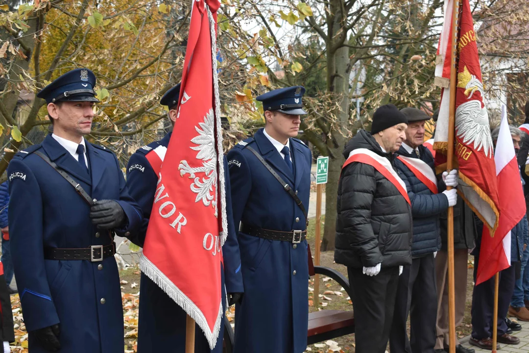 Obchody 11 listopada w Puławach