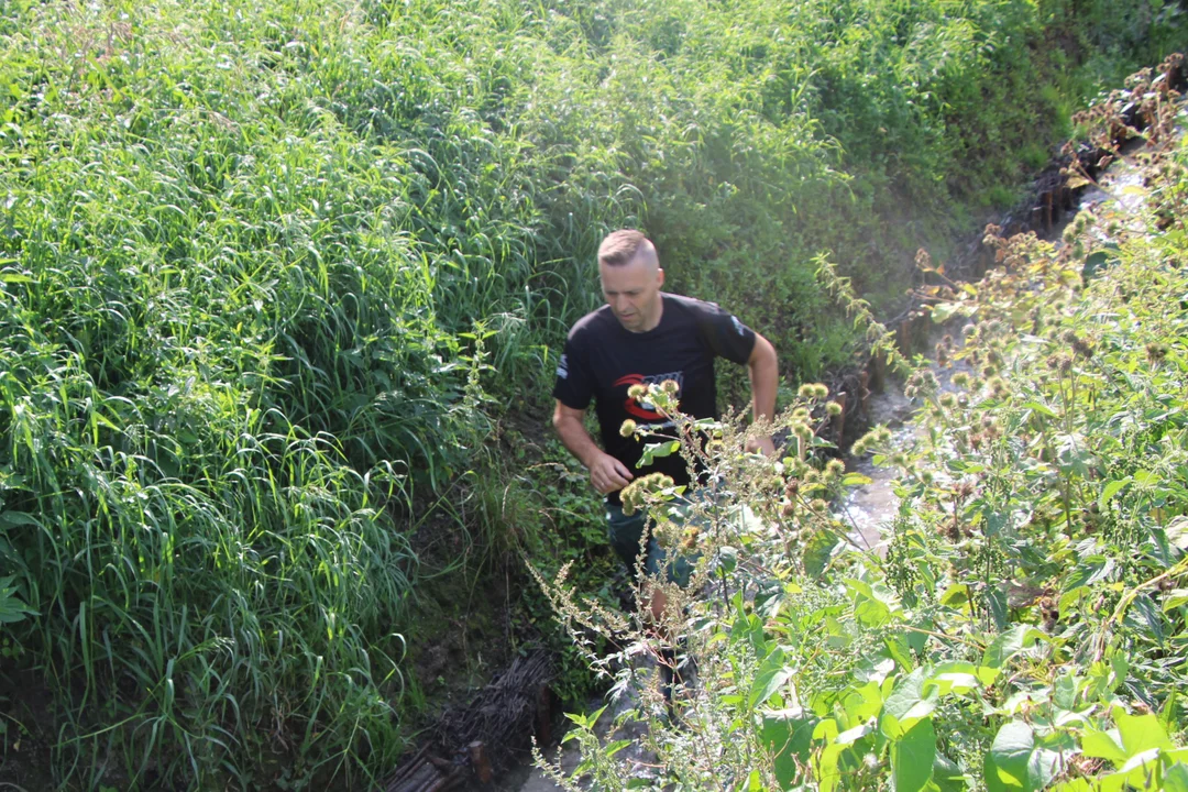 Bieg główny Run Wieprz River w Lubartowie