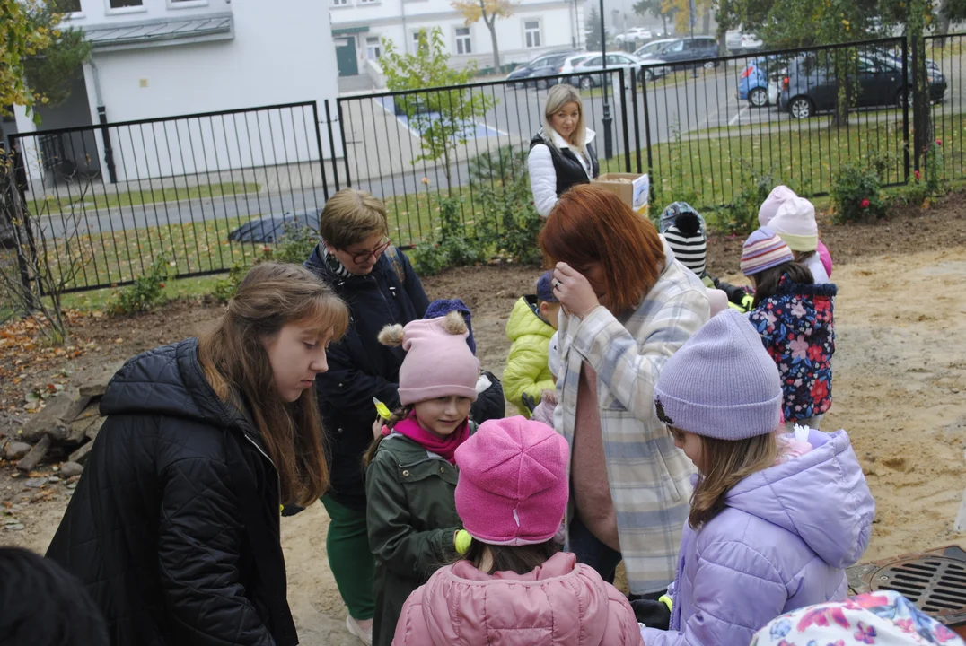 Sadzenie żonkili przy Hospicjum św. Anny w Lubartowie