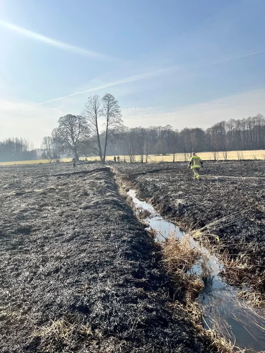 Pożary traw w powiecie łukowskim