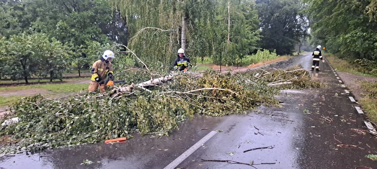 Strażacy z Charlejowa usuwali powalone drzewa