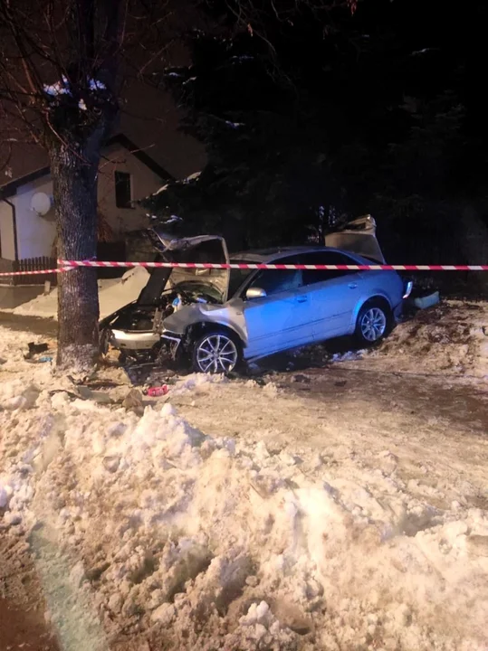 Lubelskie: Brawura i alkohol nie idą w parze. Auto skończyło na drzewie