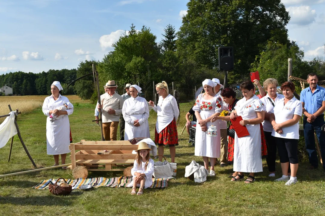 Kosa, sierp i cep poszły w ruch. Wyjątkowe widowisko w gminie Maciejowice - Zdjęcie główne