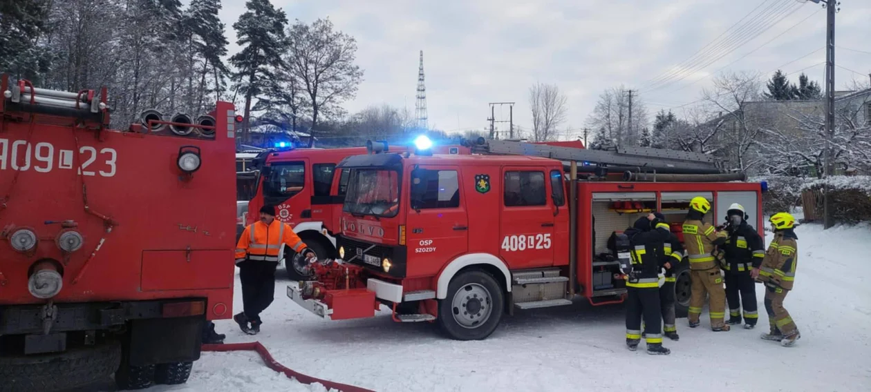 Ogromny pożar na Ziemi Biłgorajskiej. Na miejscu dziesiątki strażaków (foto) - Zdjęcie główne