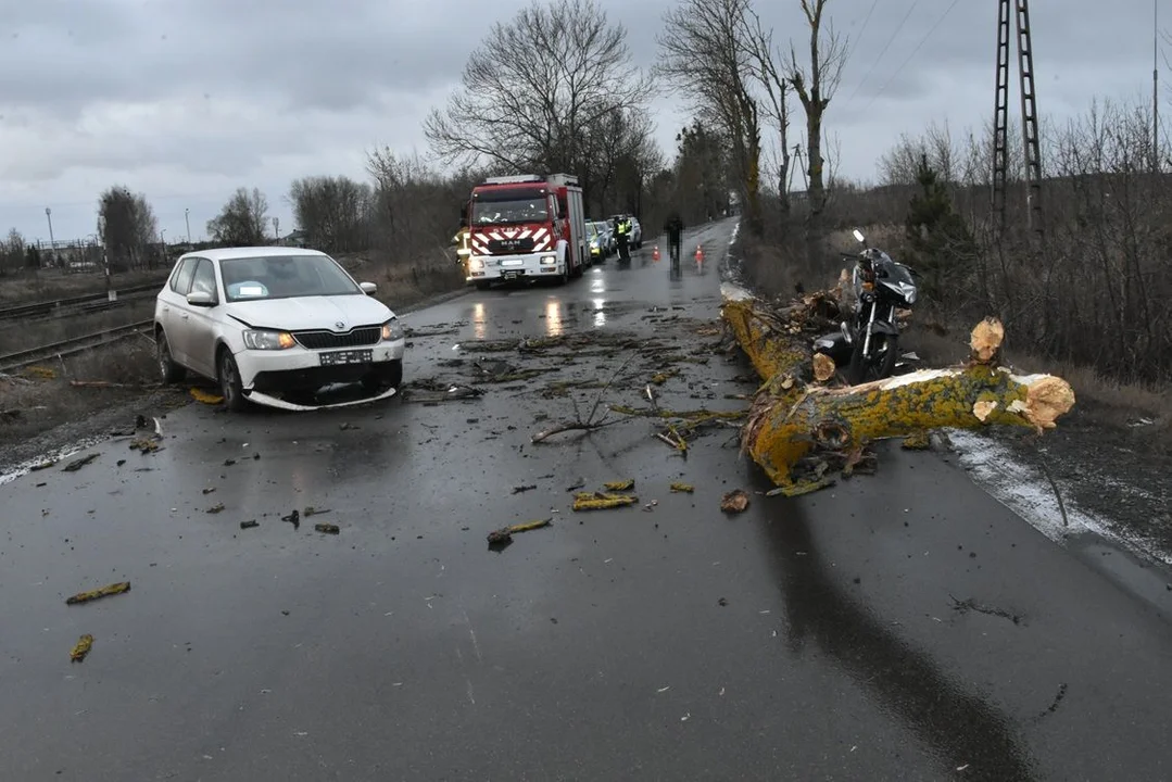 Powiat bialski: Uderzyła autem w konar, a ten mężczyznę na jezdni. Jedna osoba w szpitalu