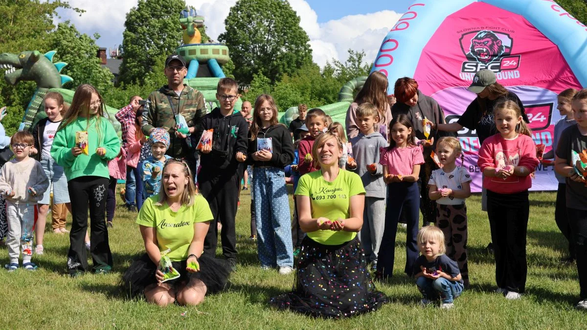 Rodzinny piknik w Dęblinie przyciągnął tłumy mieszkańców (zdjęcia) - Zdjęcie główne