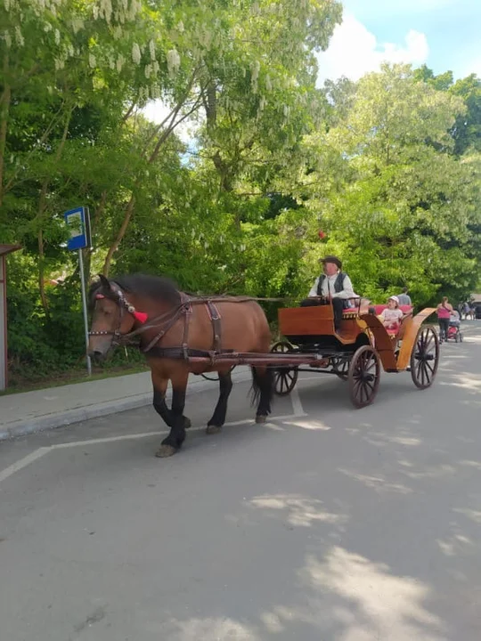 Gminny Dzień Strażaka w Gminie Uścimów