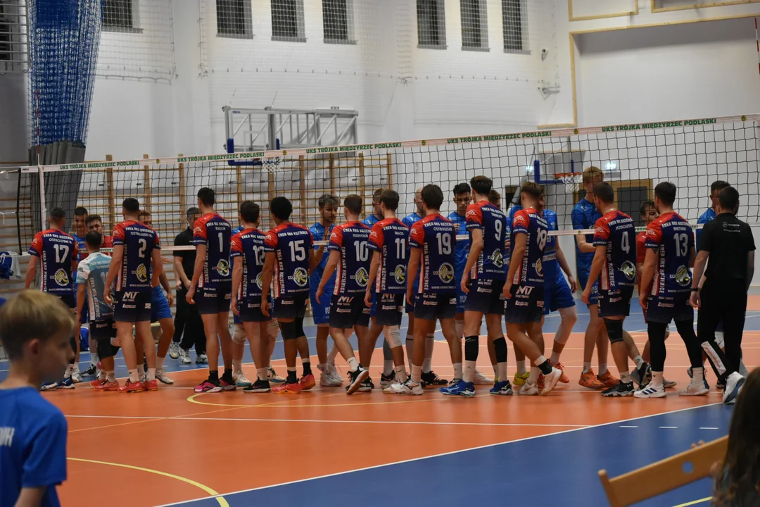 MTS - KKS ENEA Kozienice