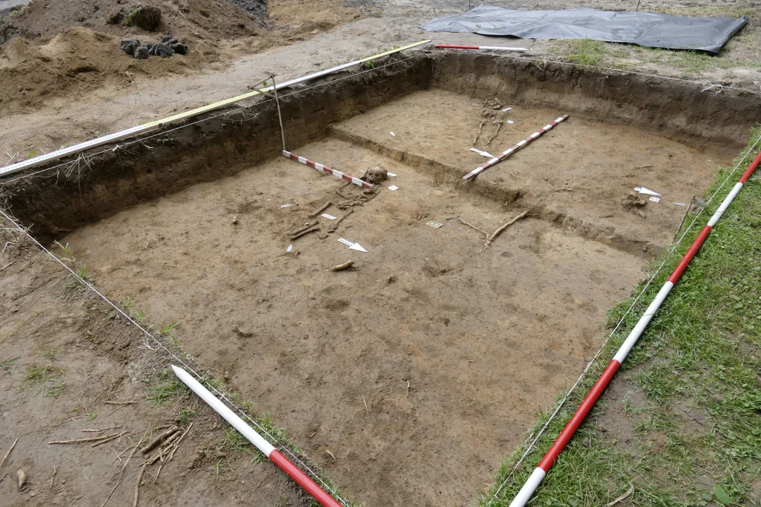 Lublin: Niezwykłe odkrycie w Ogrodzie Botanicznym UMCS. Znaleziono pozostałości cmentarzyska i fragment budowli