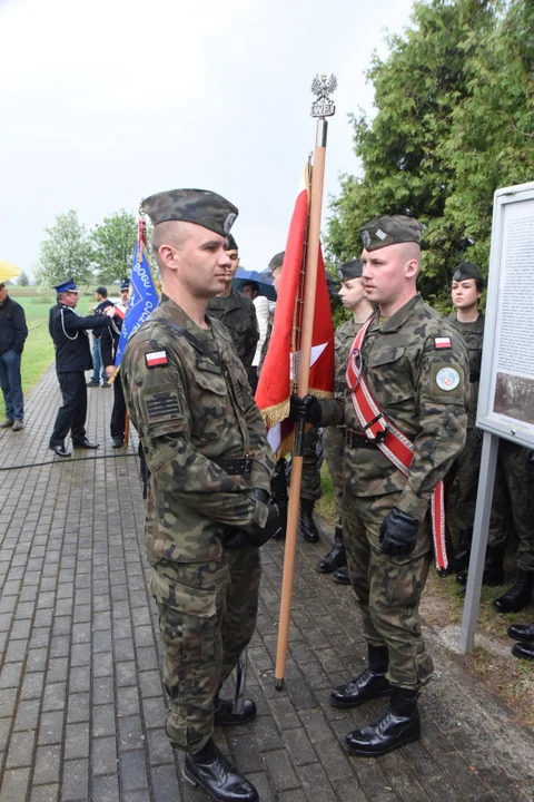 Rekonstrukcja Józefów Duży cz.1