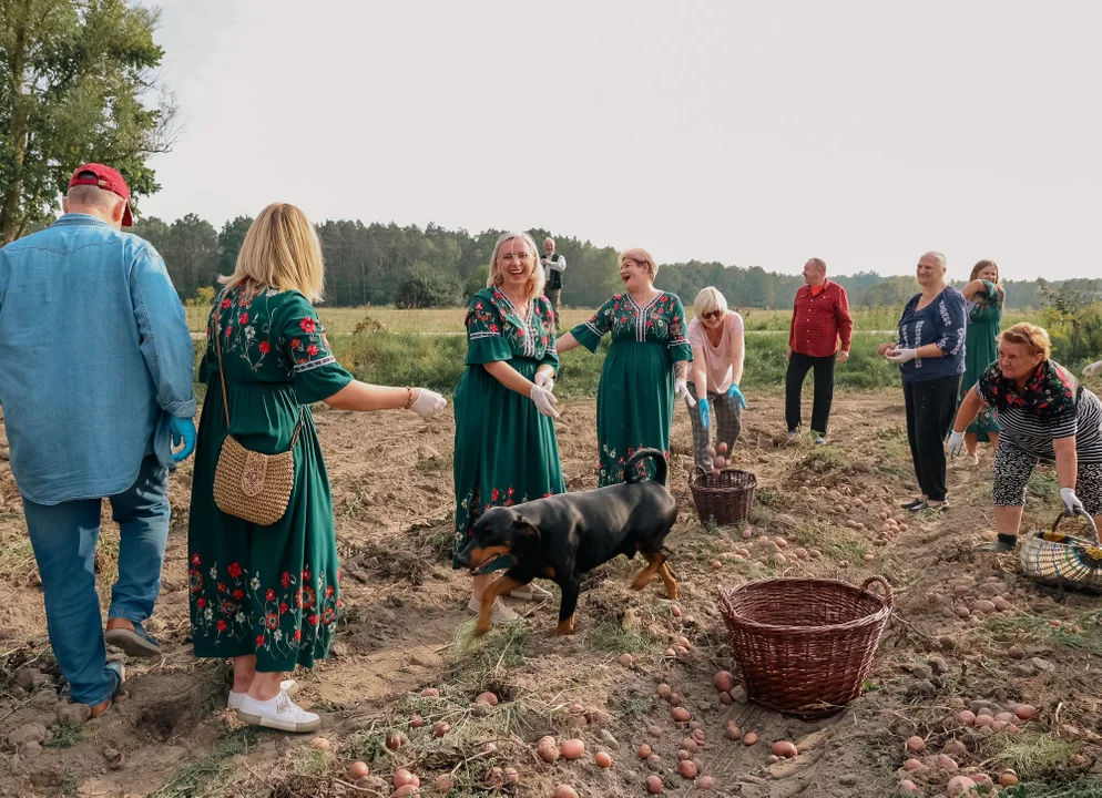 Okrężne po wykopkach - w Jaźwinach przywrócono kolejną znikającą tradycję