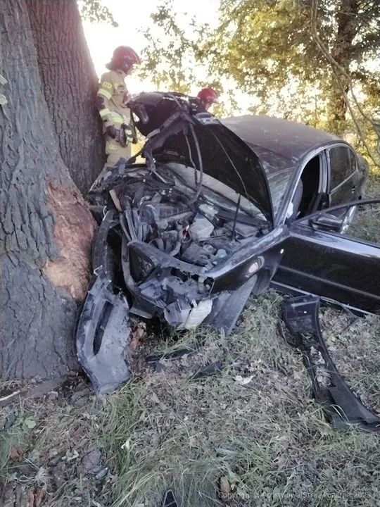 Powiat radzyński: Samochód uderzył w drzewo. Kierująca chciała wyminąć sarnę - Zdjęcie główne