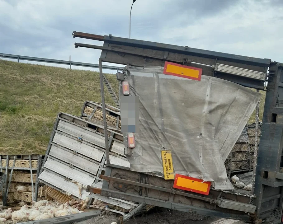 Wypadek pod Lublinem. Kierowca zakleszczony w ciężarówce