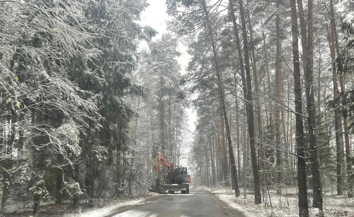 Zimma: powiat biłgorajski