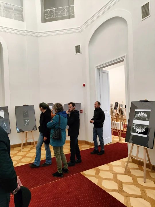 Pałac Potockich w Radzyniu Podlaskim po renowacji