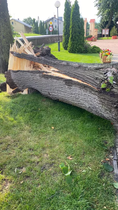 Drzewo Upadło na Plac Kościelny w Stoczku Łukowskim