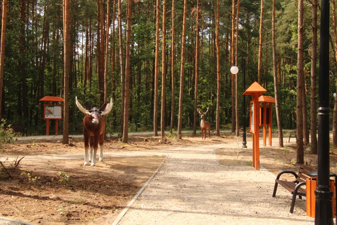 Leśny Zespół Rekreacyjno – Edukacyjny "Amonit"