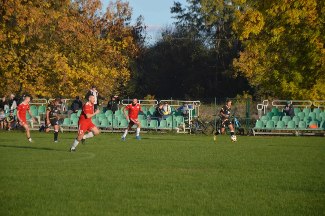 Serokomla Janowiec - GLKS Michów