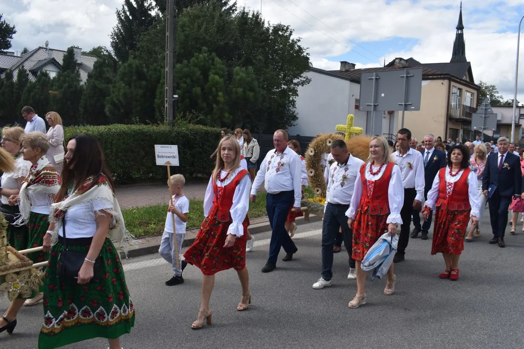 Znajdź siebie na zdjęciach. Korowód dożynkowy w Rykach (zdjęcia) - Zdjęcie główne