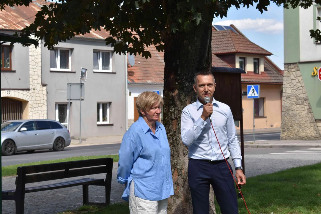 Tak mogłaby wyglądać Wąwolnica