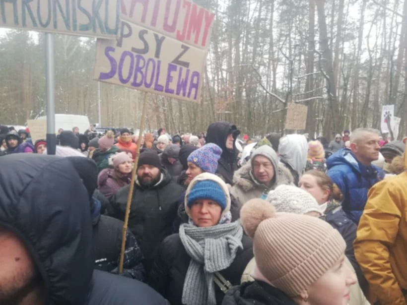 Cisza przed bramą schroniska w Sobolewie. Wszyscy czekają na rozpoczęcie interwencji poselskiej (zdjęcia) - Zdjęcie główne