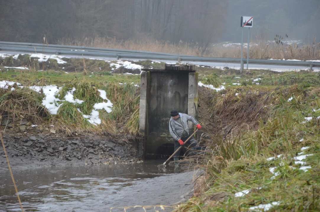 Gospodarstwo rybackie "Karp z Borowa"