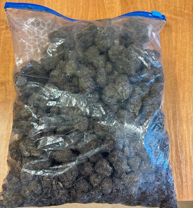 Powiat łęczyński: Ponad 400 gramów marihuany i drzewka. 39-latek w areszcie