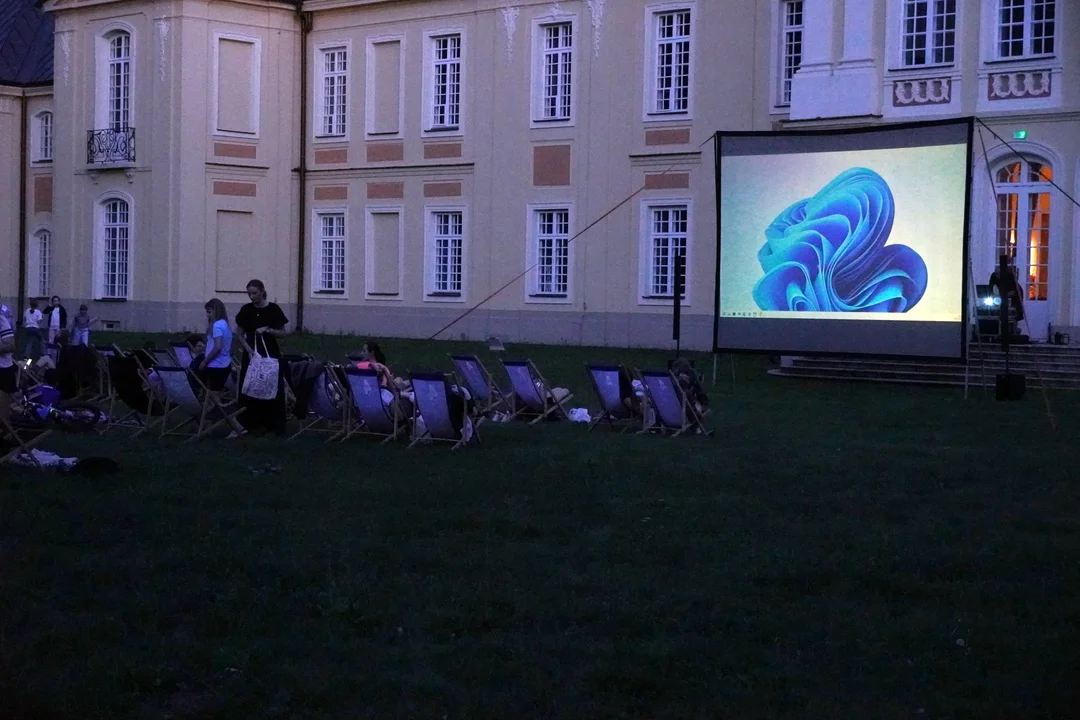 Wakacyjne Kino Plenerowe! Łączka przy Pałacu Potockich w Radzyniu, - „Był sobie pies 2”