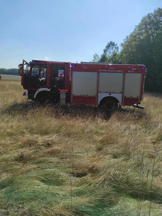 Gmina Adamów. Pożar nieużytków w Kalinowym Dole