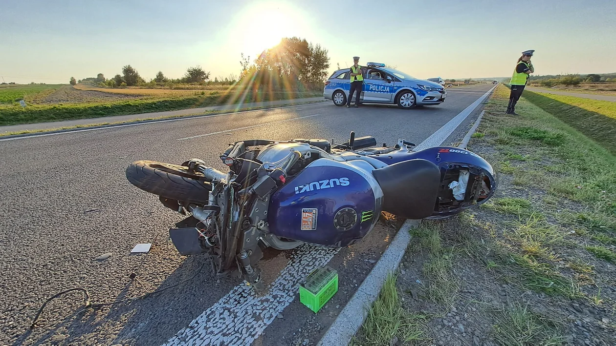 Województwo lubelskie: Łoś wbiegł na drogę. Motocyklista zginął na miejscu - Zdjęcie główne