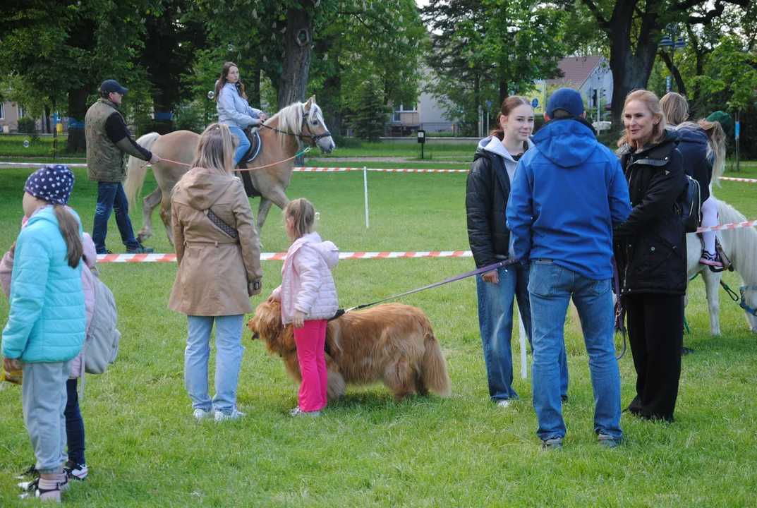 Zwierzogranie Międzyrzec Podlaski