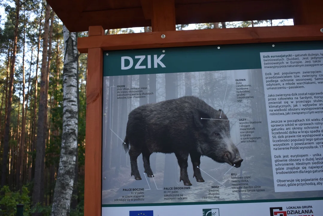 Kompleks rekreacyjny Amonit w Klimkach w gminie Łuków