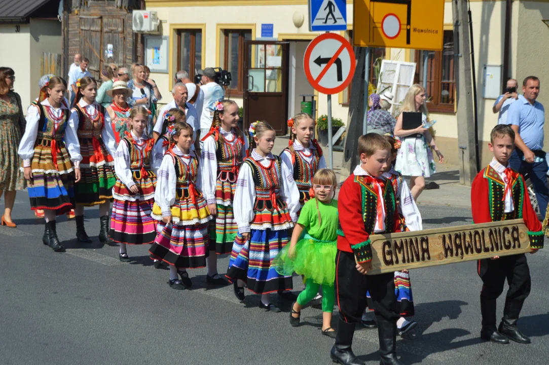 Dożynki powiatowe 2024 w Wąwolnicy