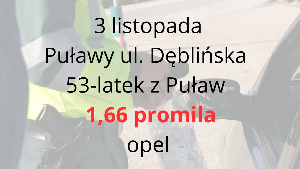 Kierowcy z promilami - powiat puławski