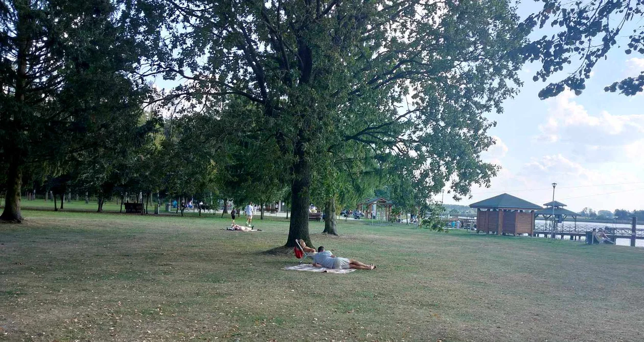 Jeszcze plażujemy nad Zalewem w Łukowie