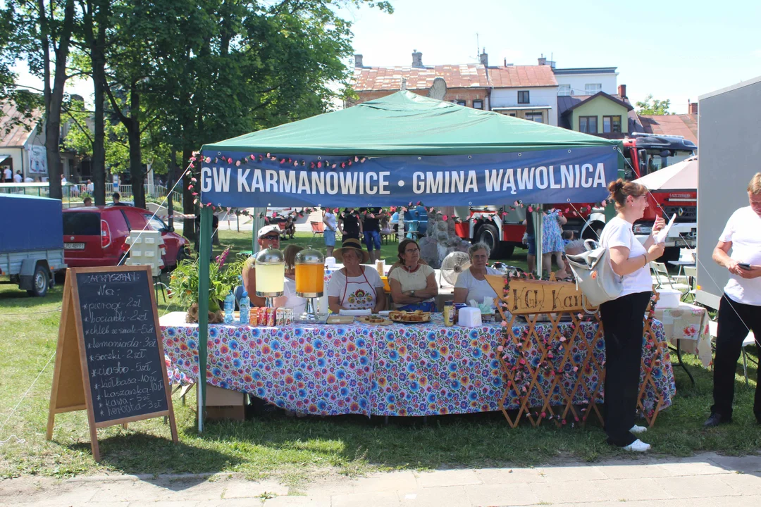 Dni Wąwolnicy 2026
