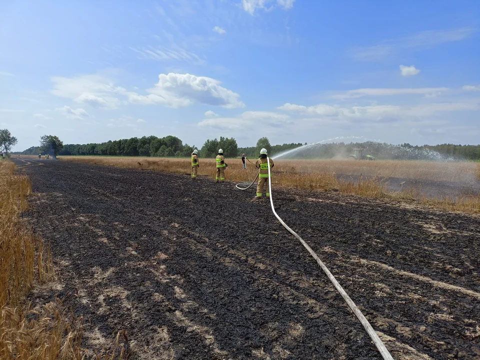 Podpalacz na polu! (zdjęcia) Spłonął ponad hektar zboża - Zdjęcie główne