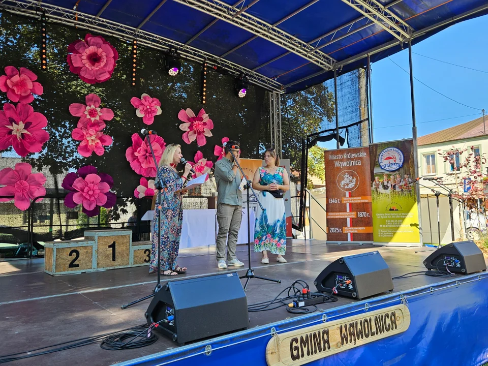 Dni Wąwolnicy - II Dzień (galeria)
