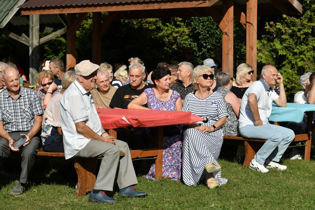 Na ludowo w Gręzówce. Wykopki, swatanie, ślub i wesele [ZDJĘCIA] - Zdjęcie główne