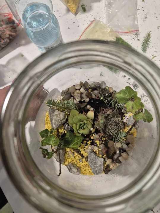 Uniwersytet Adamów