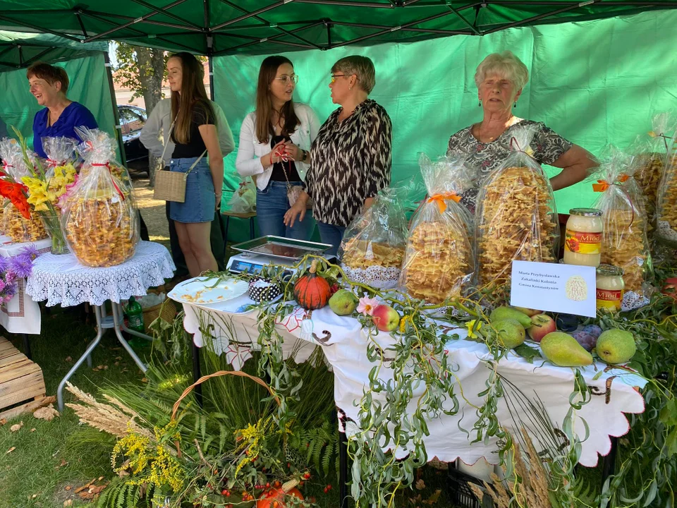 Bialski Festiwal Sękaczy w Janowie Podlaskim (ZDJĘCIA) - Zdjęcie główne