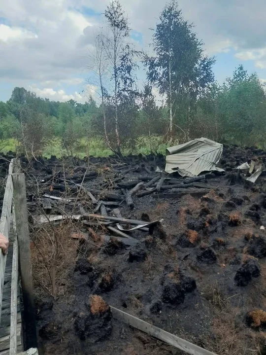 Groźny pożar w powiecie parczewskim. Pół hektara lasu i wieża widokowa płomieniach