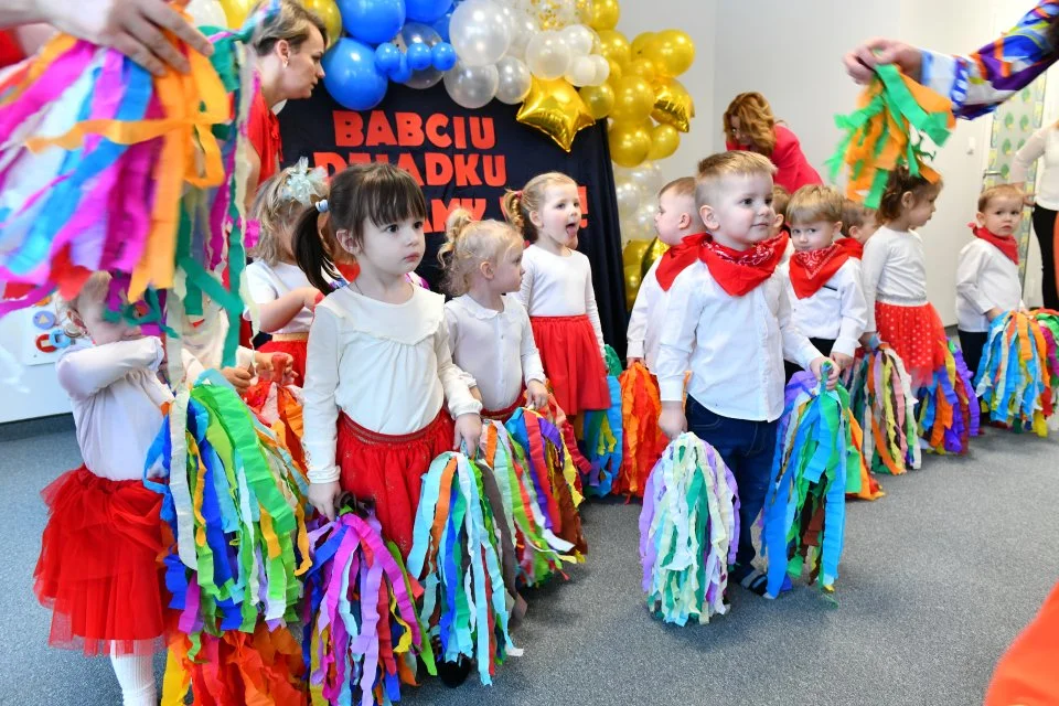 Dzień Babci i Dziadka (zdjęcia)Świętowali w Żłobku Puchatek w Wojcieszkowie. - Zdjęcie główne