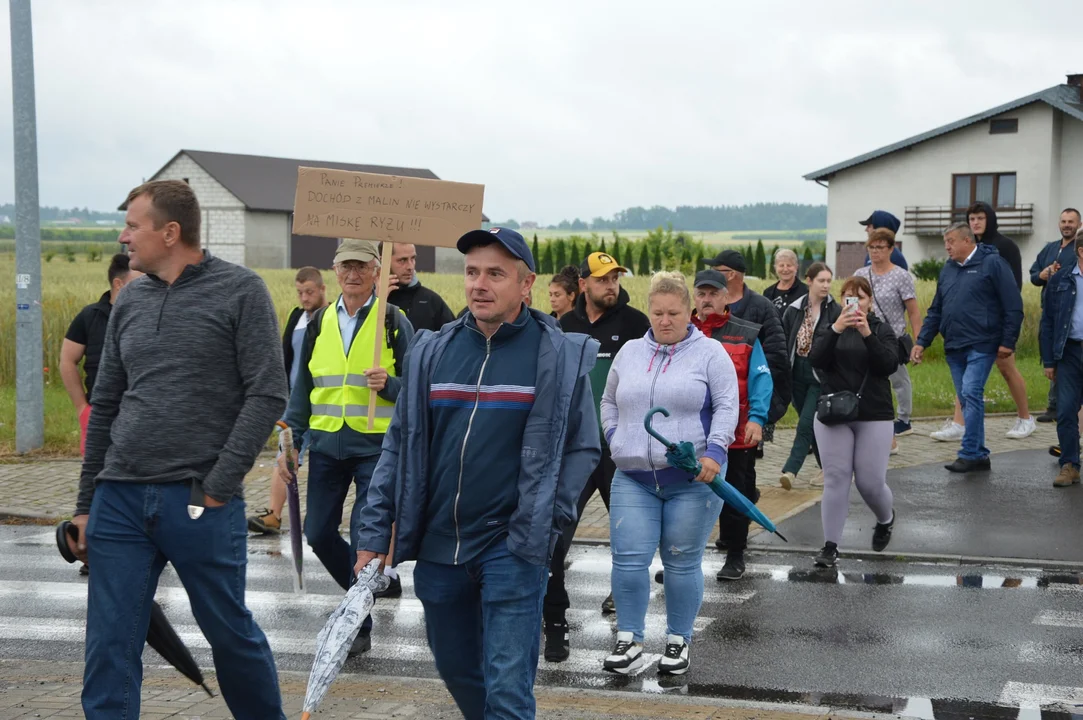 Protest producentów malin w Opolu Lubelskim. Dzień drugi